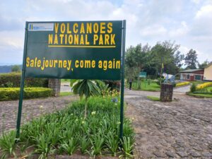 volcanoes-photo-trave-explore-Rwanda-Africa-gorillas-chimpanzees-nature-best-national-park-tour-operator