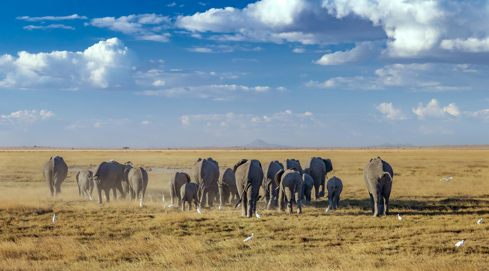 Amboseli National Park