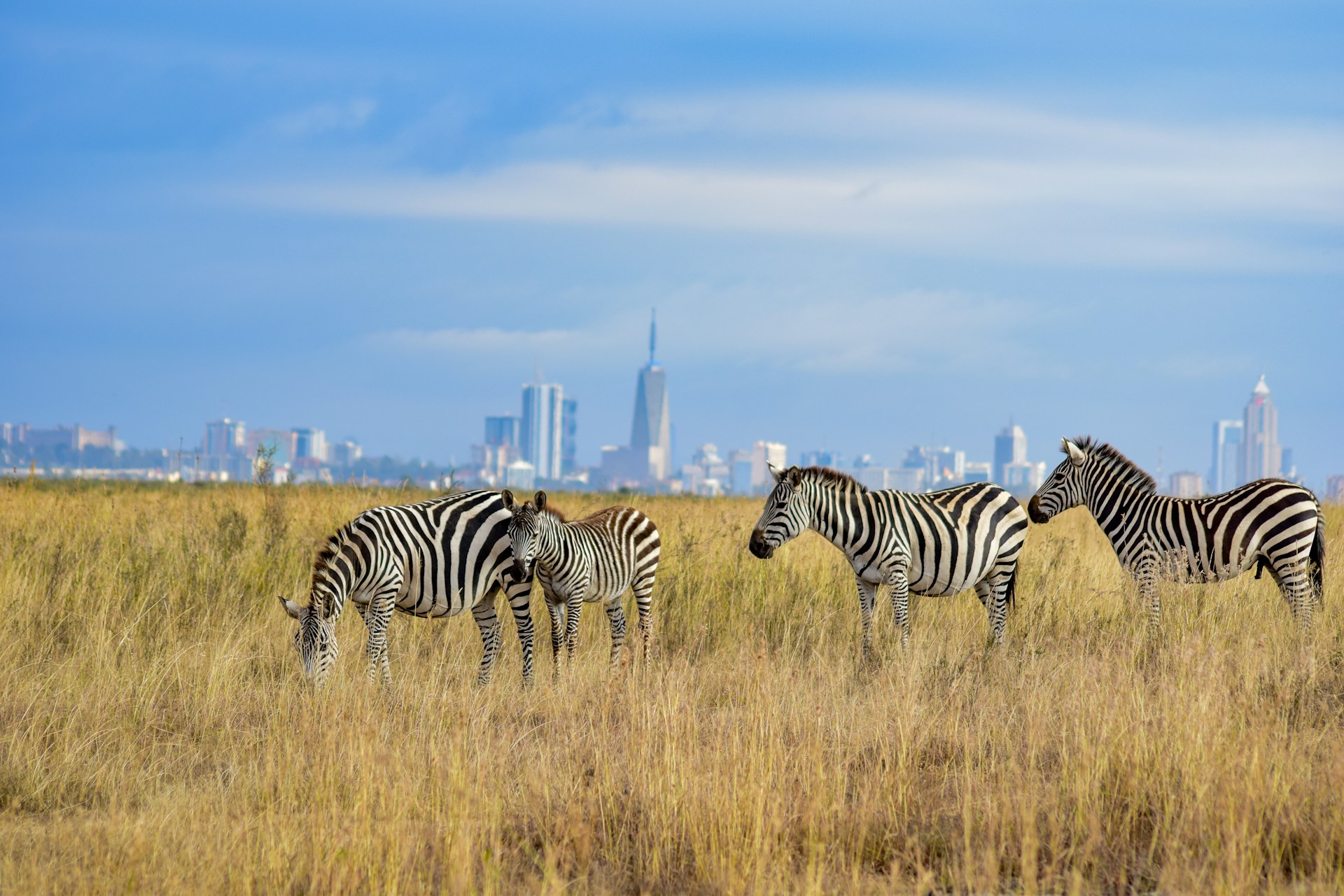 Nairobi National Park - Mukisa Safaris