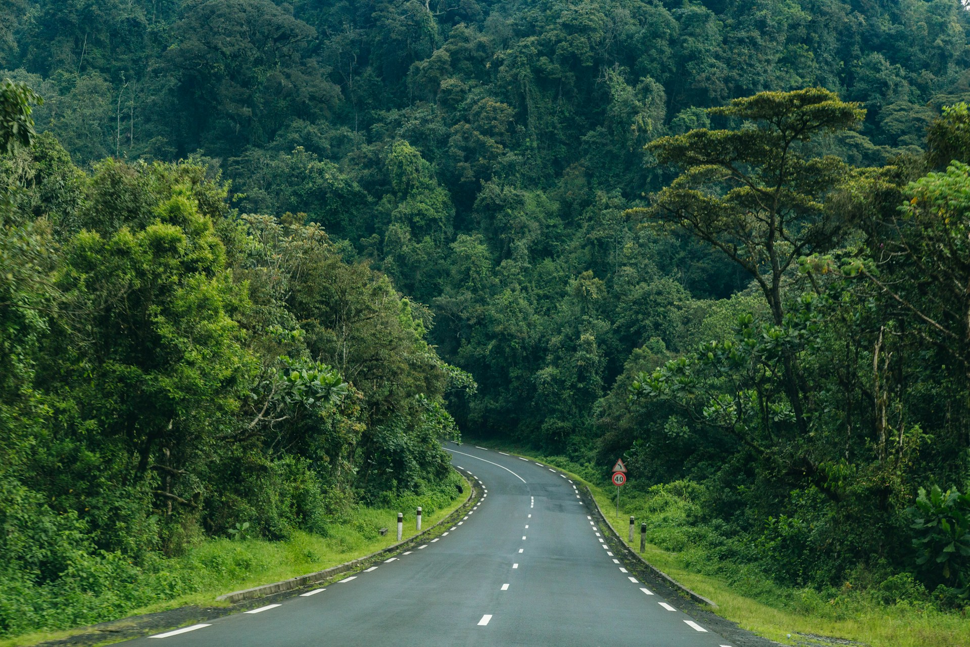 Rwanda Safari Tours