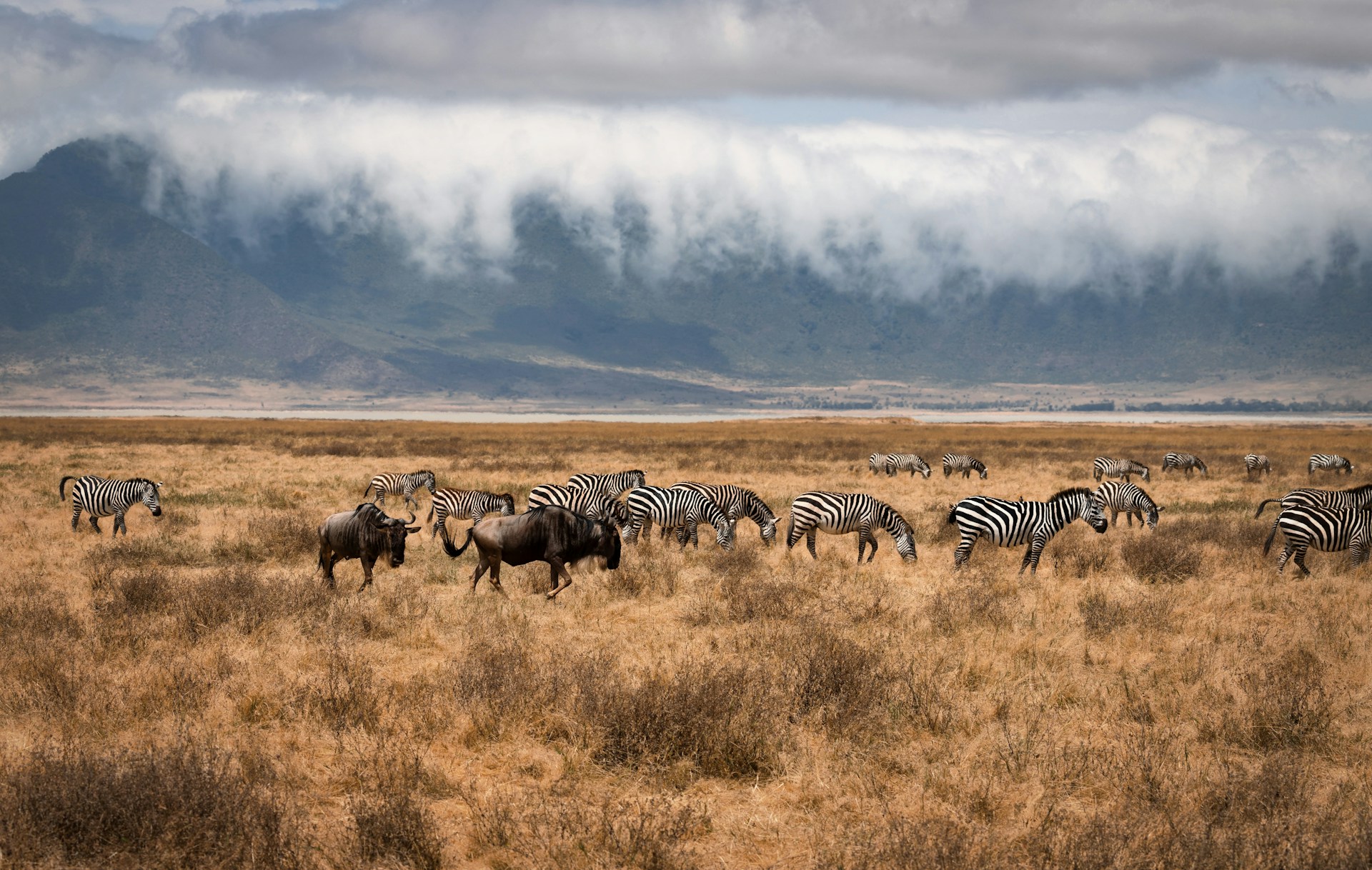 Tanzania Ngorongoro Crater