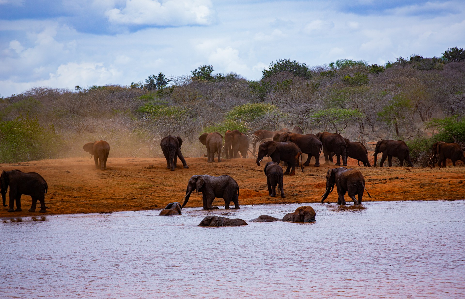 Tsavo National Park - Mukisa Safaris
