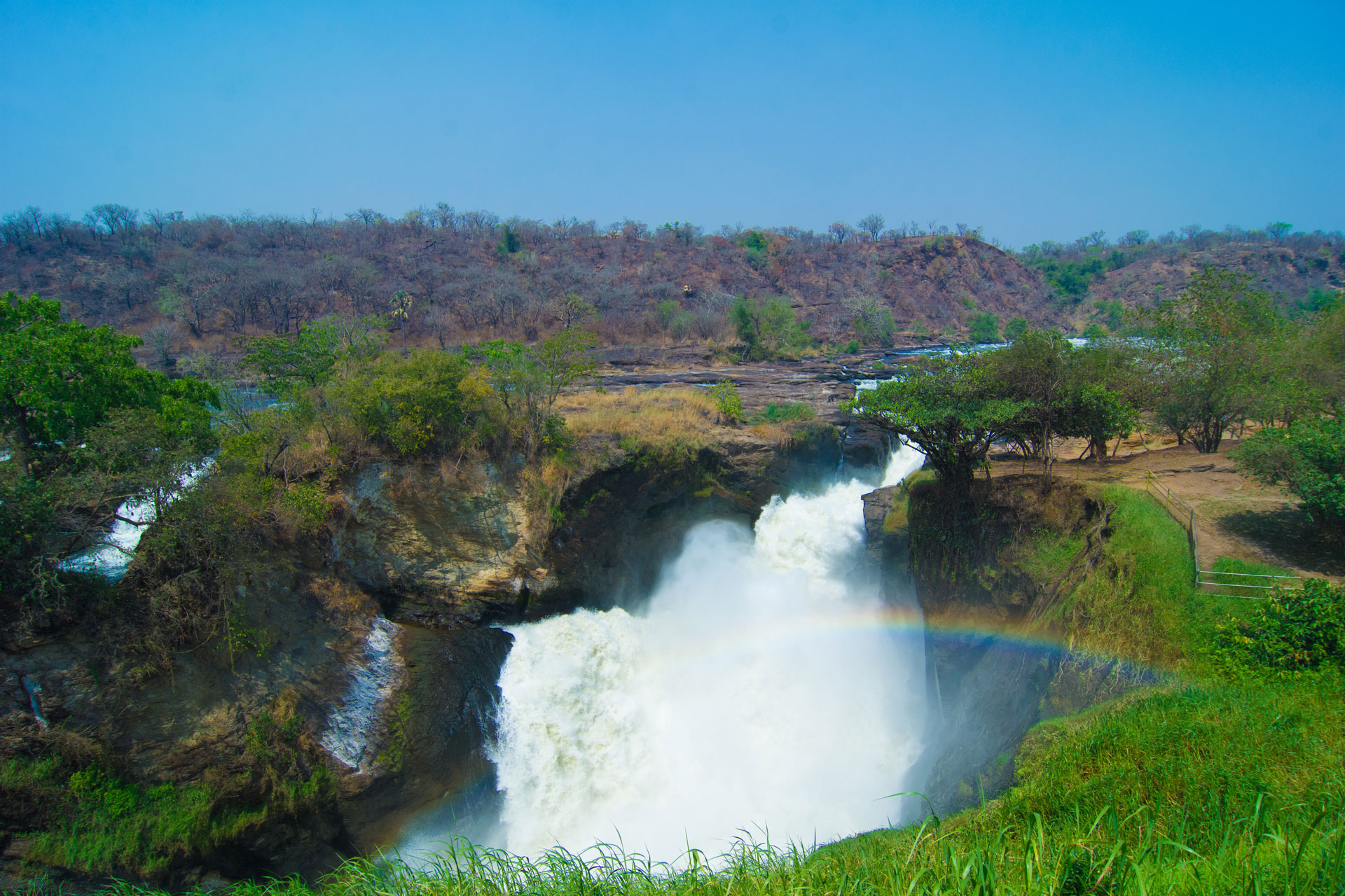 Murchison Falls National Park Safari