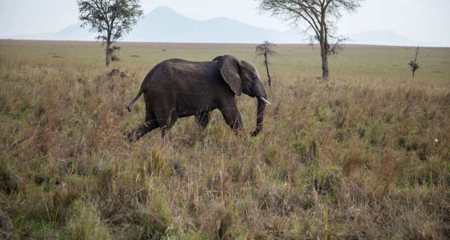 Kidepo-Valley-Uganda